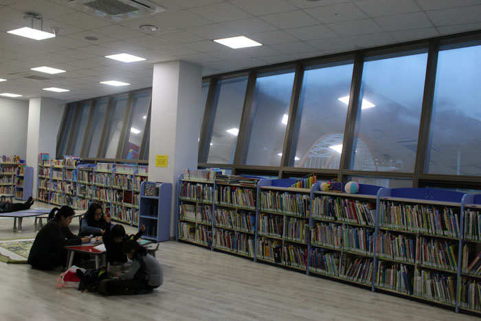 library-150129-5.jpg