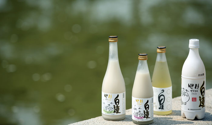 White lotus flowers are added to the fermentation process of brewing Baengnyeon Makgeolli.