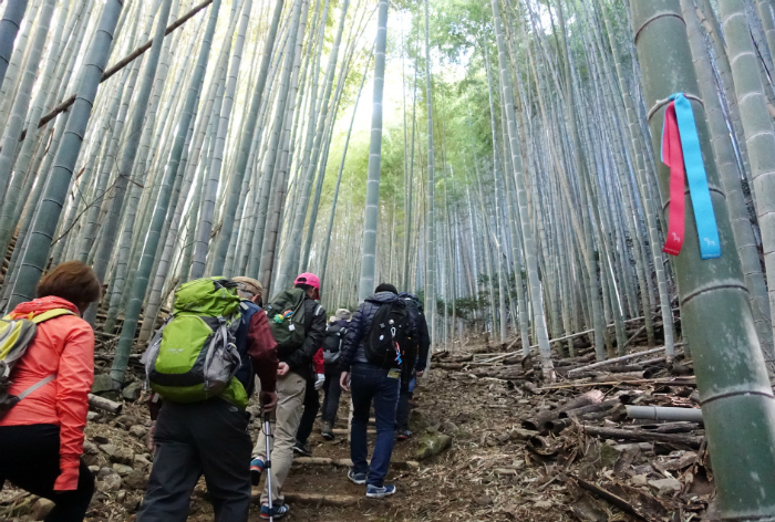 Trekkers walk up Miyama Mountain along the Kiyomizu Course, the 19th section of the Kyushu Olle network of hiking trails that opened on Feb. 19 in Fukuoka, Japan.
