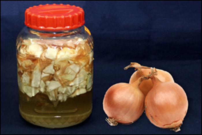 Onion syrup jar, before removing the onion chunks. (photo courtesy of the Rural Development Administration)