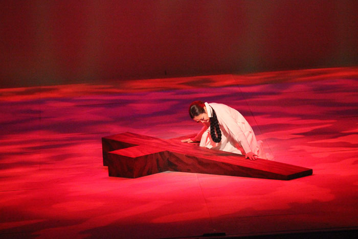  Scenes from the operas 