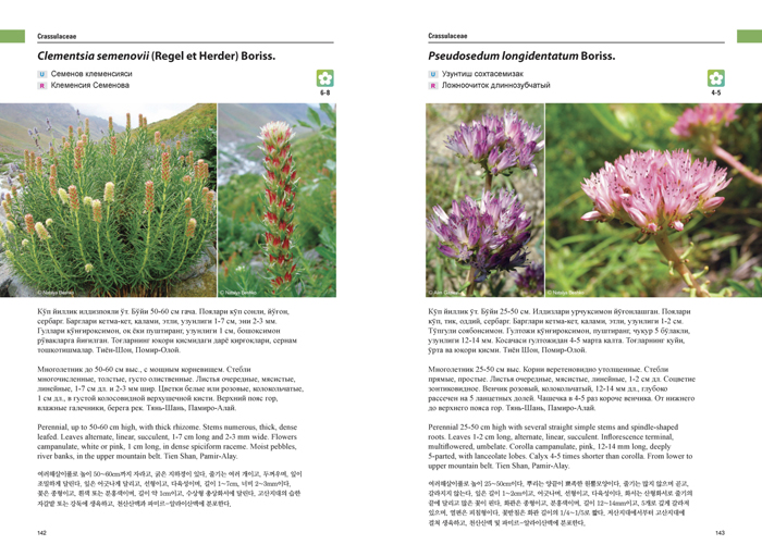 plant%20book3.jpg