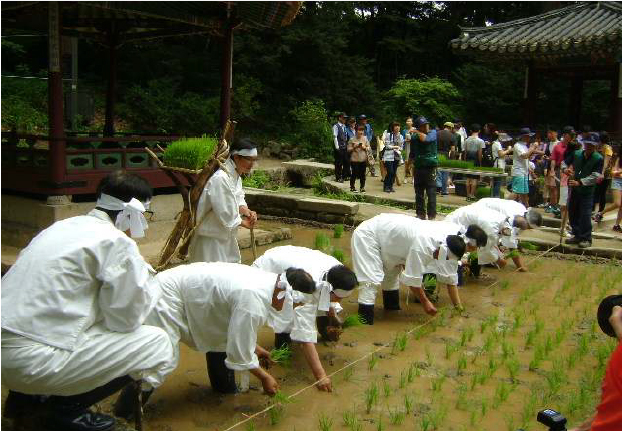 rice-150602-1.jpg