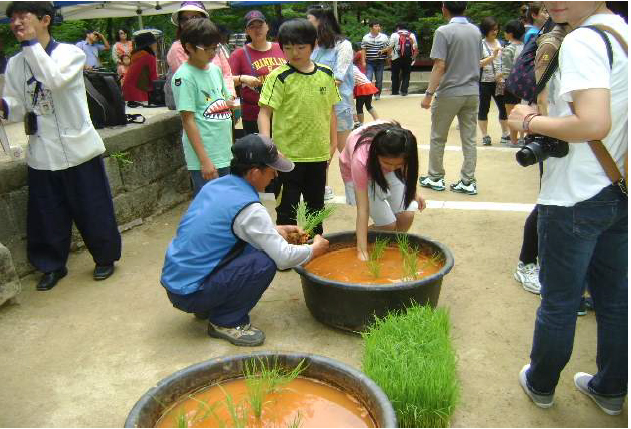  Visitors to Changdeokgung Palace will be able to plant some rice plants of their own. 