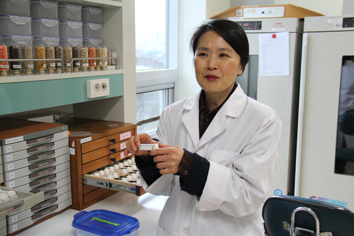 Soh Eun-hee, head of the Seed Testing and Research Center, holds up seeds awaiting DNA analysis. 