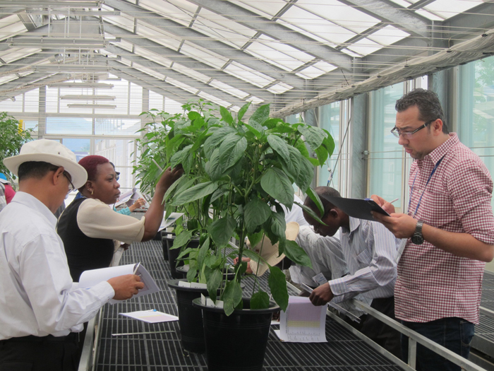 Fifteen seed specialists from eight Asian and African nations discuss how to apply for patents on new plant variety and how to register them, during the 'Plant Variety Protection and DUS Testing' workshop.