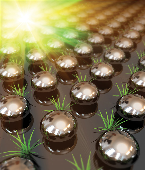 Mimetic diagrams of bio-photovoltaic cells that consist of silver nanoparticles and chlorophyll. (photo courtesy of the MISP)