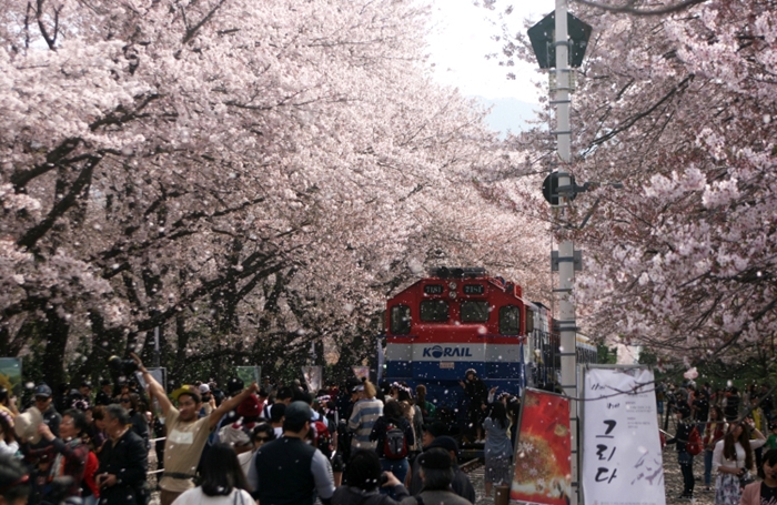 springflower_article_04.JPG