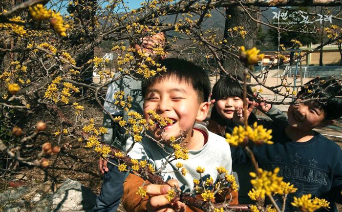 springflower_article_05.jpg