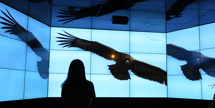 A visitor watches a video clip that shows the demilitarized zone. (photo by Jeon Han)