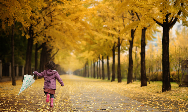 Seoul city gov't releases list of 96 best trails to enjoy fall leaves