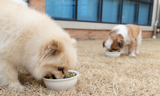 New system eases verification of pet food nutritional standards