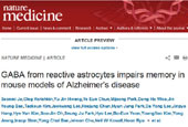 Cause for memory loss discovered by scientists