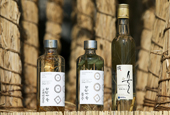 Traditional liquors made from wild ginseng 