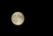 The First Full Moon and Spring's Jeongwol Daeboreum