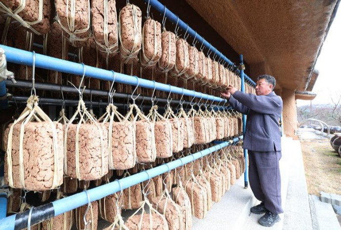 [사진으로 보는 한국] 바람과 햇살속에서 숙성되는 메주