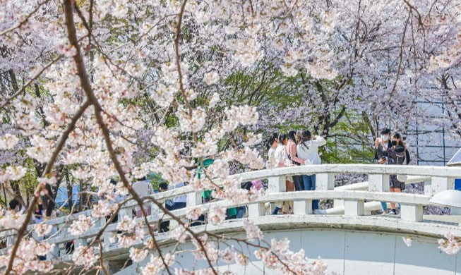 Tourism body picks 6 prime spots for spring flower viewing