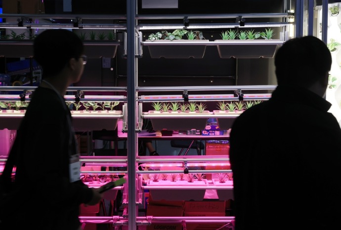 Automatic plant-growing system at Korea Electronics Show 