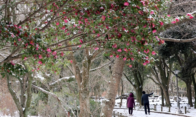 Walking around snowy arboretum on Jeju Island