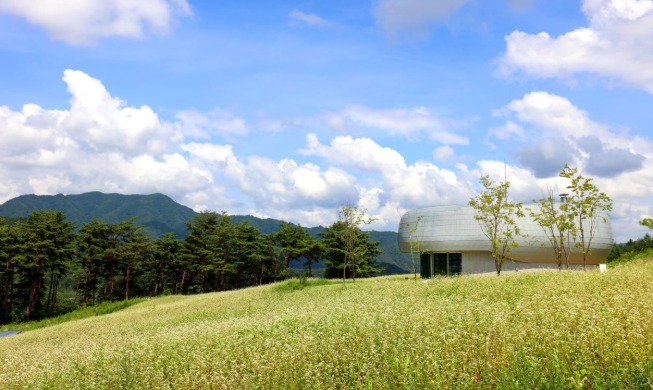 20 organizations picked for global seed conservation program