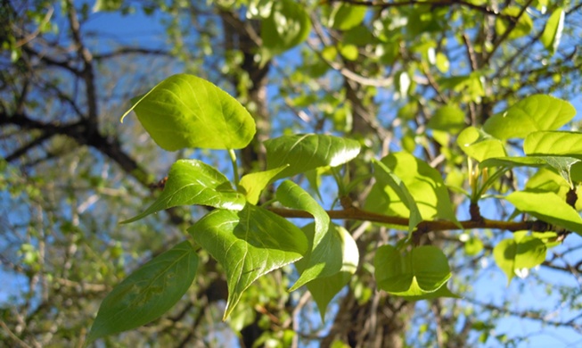 한국 연구진, 전기 없이 스스로 온도 조절하는 신소재 개발