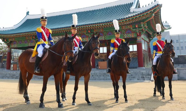 절제와 균형, 그 끝의 교감 ···사진으로 만나는 육사 군마대