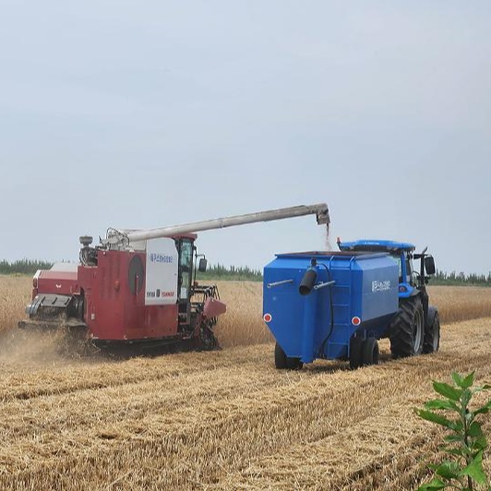 Harvesting fodder on reclaimed land Saemangeum