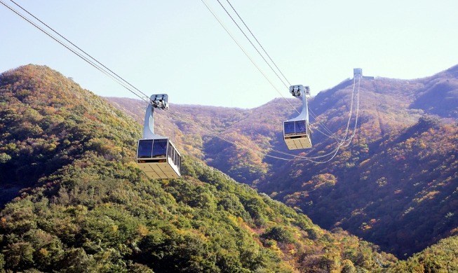 44 regions from late April to accept digital tourist resident card