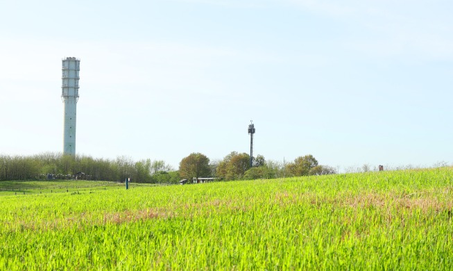 From trash to tranquility: landfill-turned-eco park Nanjido