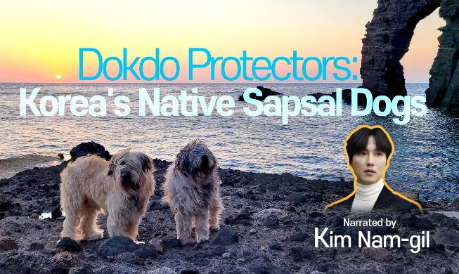 Video on 'Dokdo protector' dog breed released before holiday