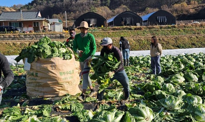 내년 비전문 외국인력 19만 1000명 수준으로 관리
