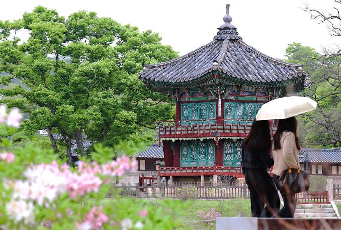 [사진으로 보는 한국] &acute;곡우(穀雨)&acute;에 내린 봄비