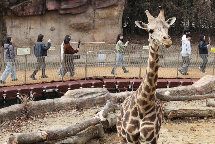 New safari course at nation's top theme park