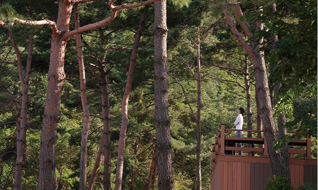 [Monthly KOREA] Korea’s Traditional Healing Hub