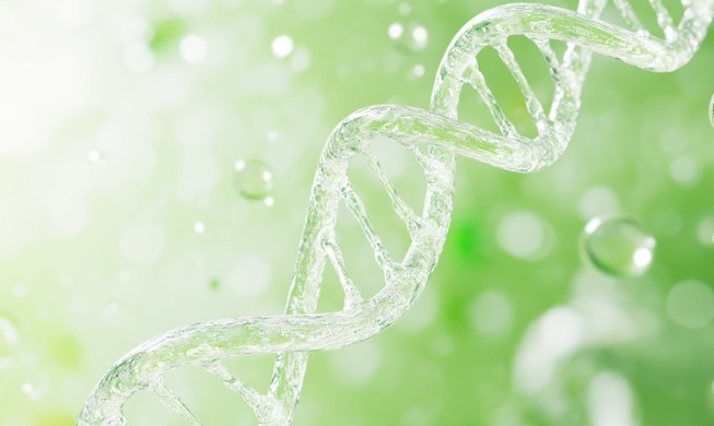 Researchers find clues that could deepen understanding of autism