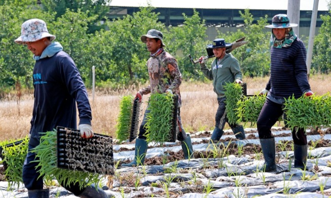 Heat inspections of farms, lodging begin for int'l worker safety