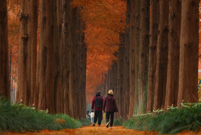 [사진으로 보는 한국] 가을의 끝에서