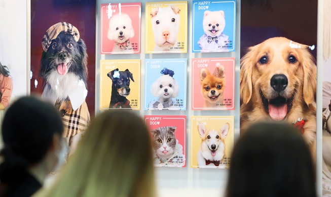 [Korea in photos] Product display at 17th Daegu Pet Show
