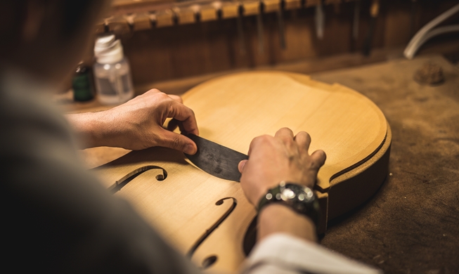 Microorganisms used to improve sound of string instruments