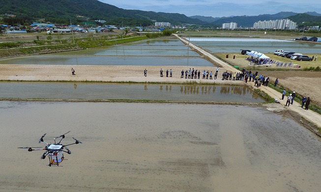 [Korea in photos] Agricultural drone sowing rice seeds