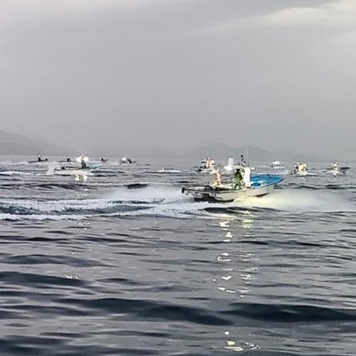 East Sea's northernmost fishery zone opened to public