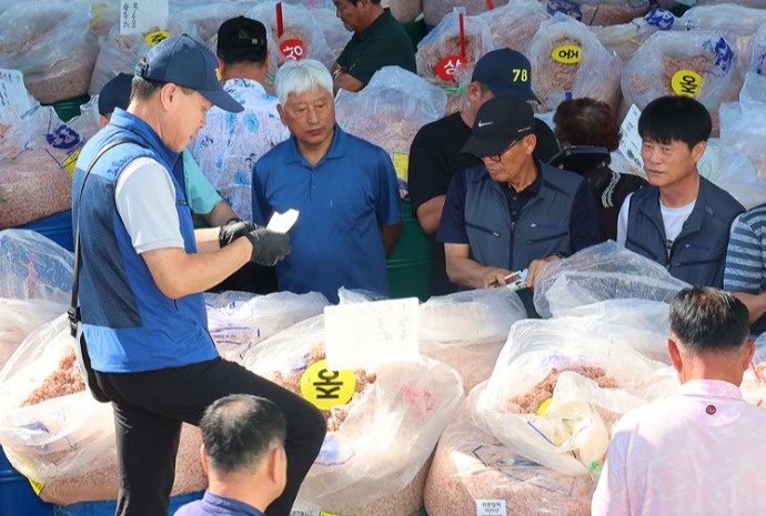 Busy auction for tiny salted shrimp at wholesale seafood market