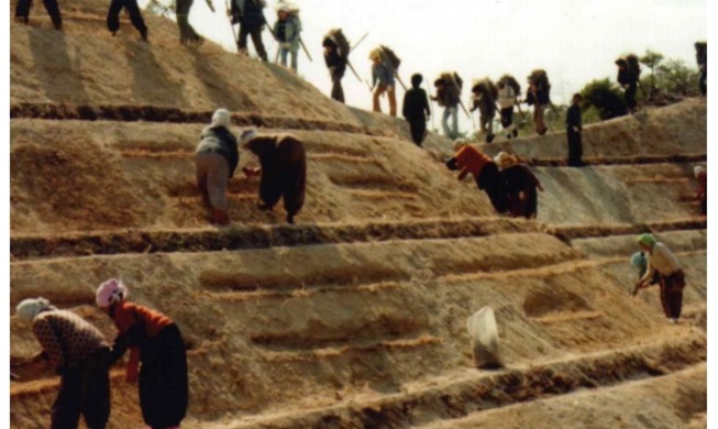 UNESCO seen to inscribe records on Jeju incident, reforestation