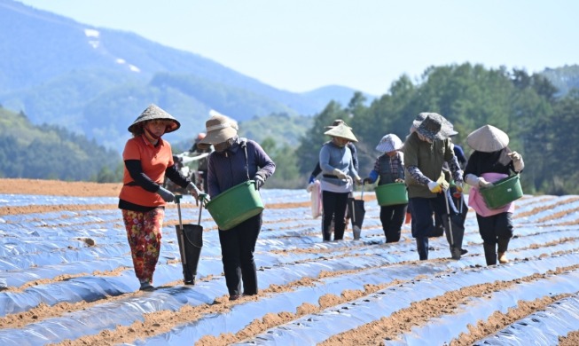 New system prevents deportation of int'l workers with unpaid wages