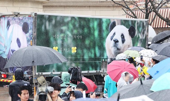 Public says goodbye to giant panda Fu Bao