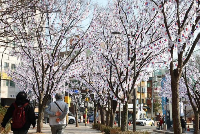 [사진으로 보는 한국] 태극기 물결 속 3월을 기리다