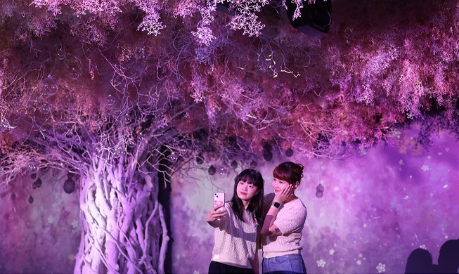 Media art exhibition highlights beauty of 4 seasons