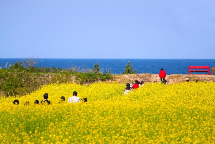 Blue sea and yellow waves