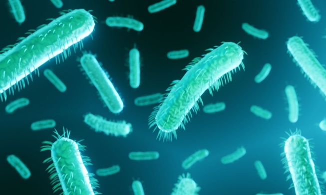 New tech can swiftly, accurately detect foodborne bacteria