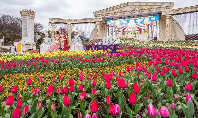 Everland Tulip Garden